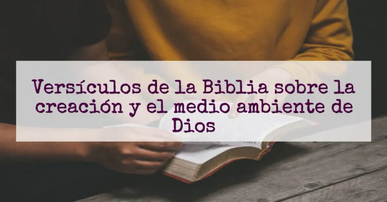Versículos de la Biblia sobre la creación y el medio ambiente de Dios