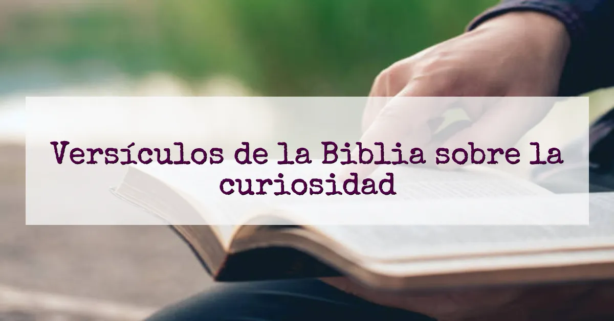 Versículos de la Biblia sobre la curiosidad