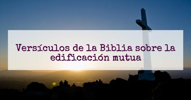 Versículos de la Biblia sobre la edificación mutua