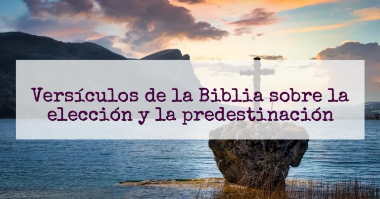 Versículos de la Biblia sobre la elección y la predestinación