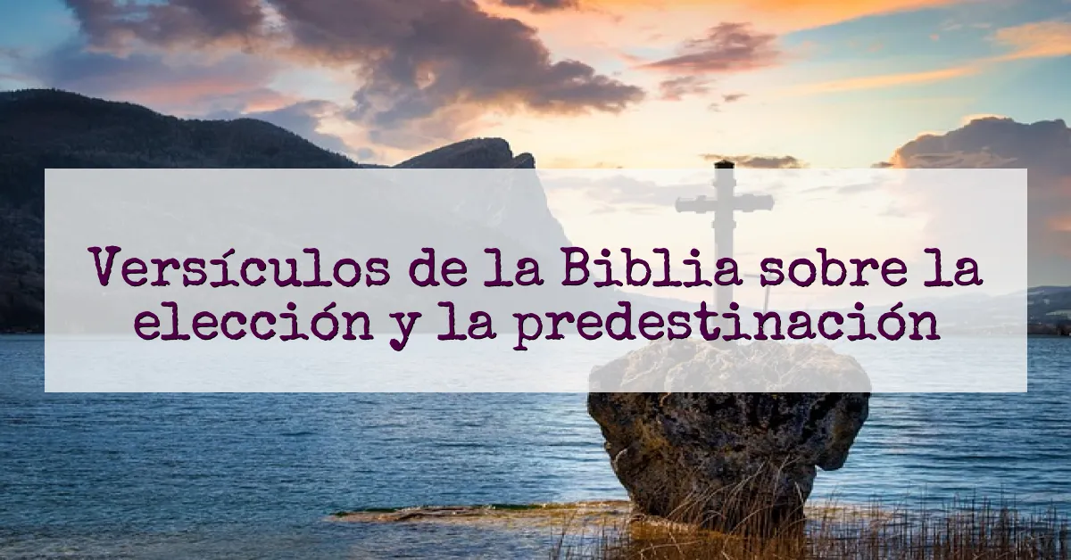 Versículos de la Biblia sobre la elección y la predestinación