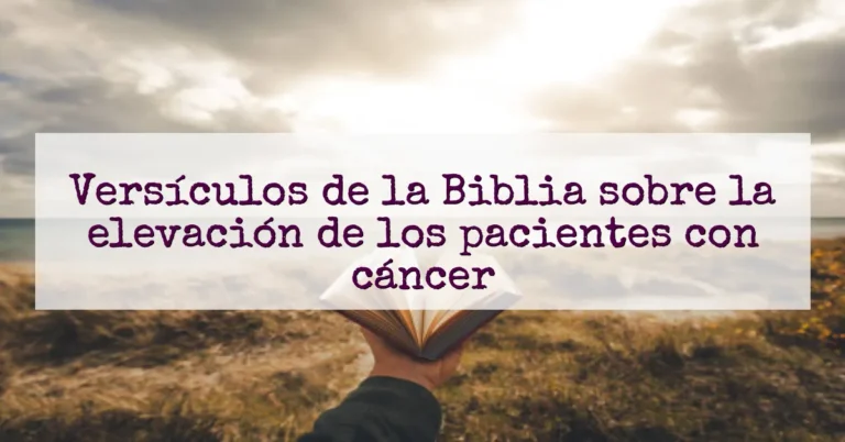 Versículos de la Biblia sobre la elevación de los pacientes con cáncer