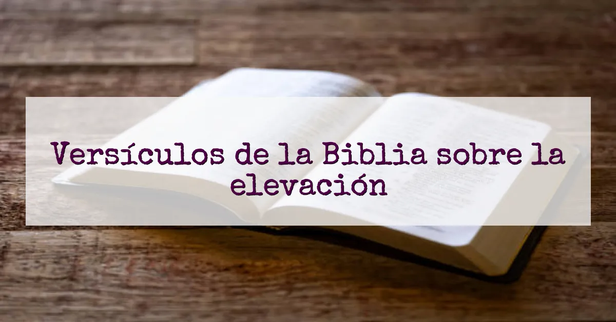 Versículos de la Biblia sobre la elevación