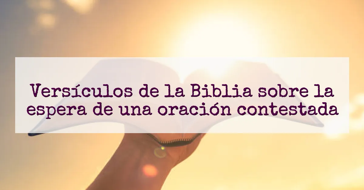 Versículos de la Biblia sobre la espera de una oración contestada