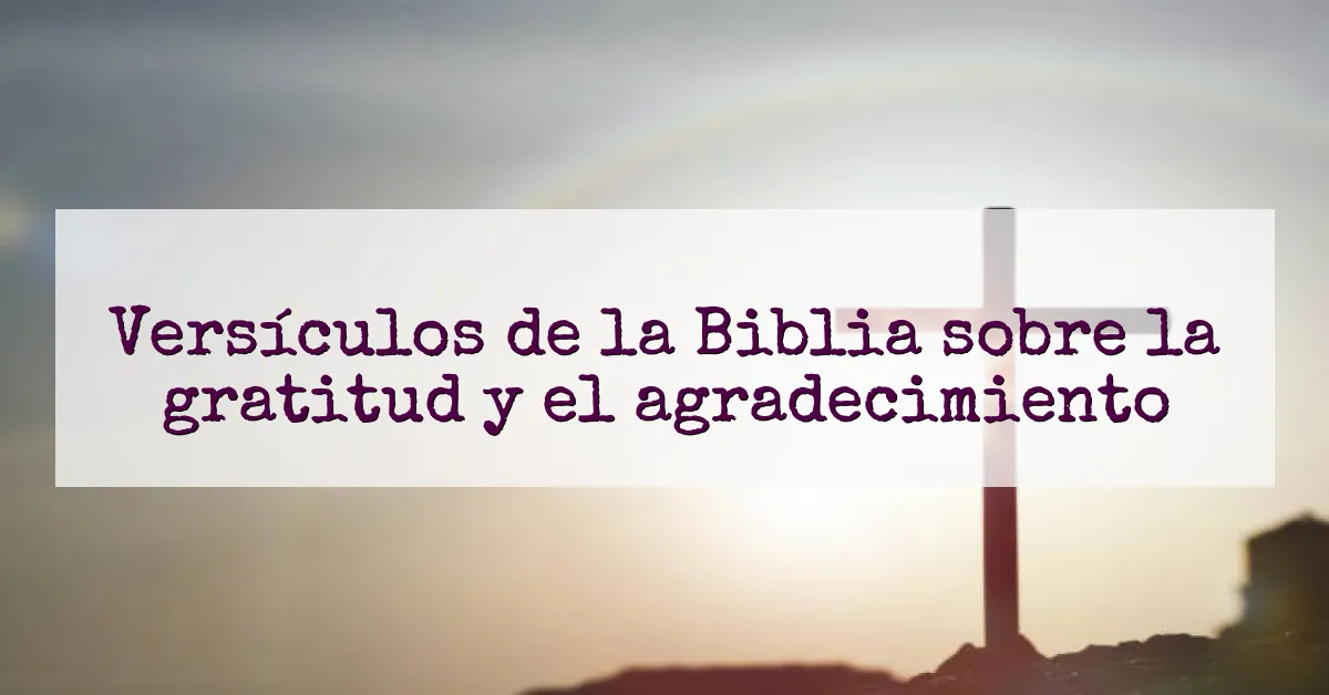 Versículos de la Biblia sobre la gratitud y el agradecimiento