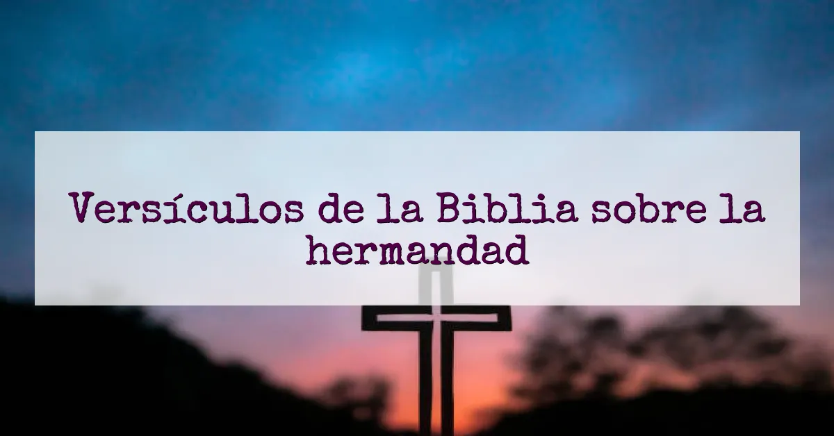 Versículos de la Biblia sobre la hermandad