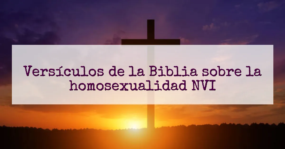 Versículos de la Biblia sobre la homosexualidad NVI