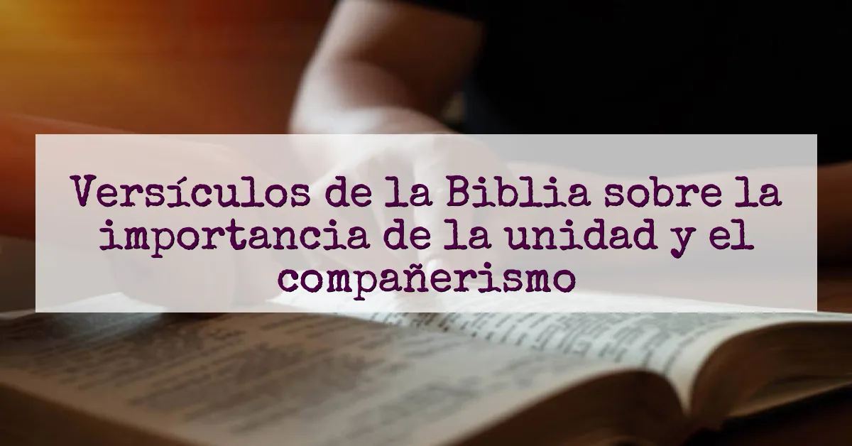 Versículos de la Biblia sobre la importancia de la unidad y el compañerismo