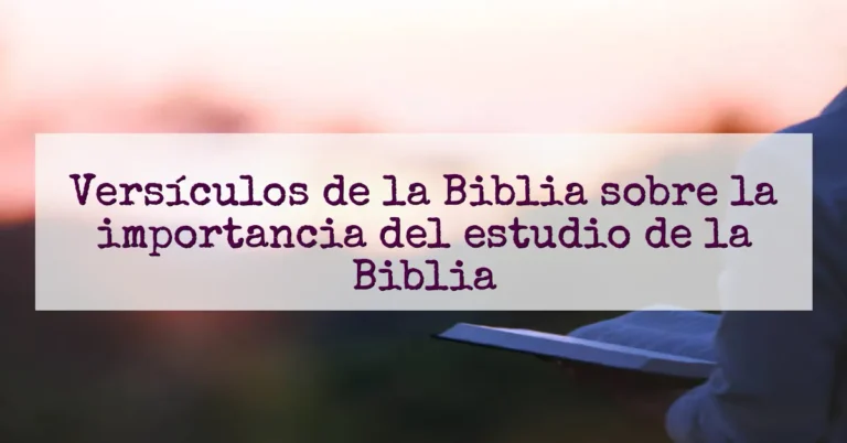 Versículos de la Biblia sobre la importancia del estudio de la Biblia