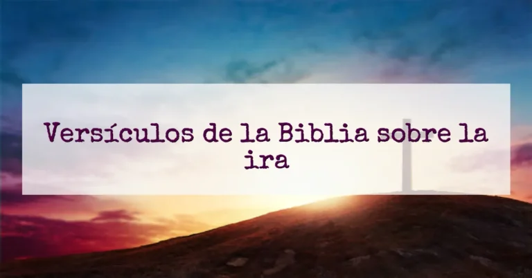 Versículos de la Biblia sobre la ira