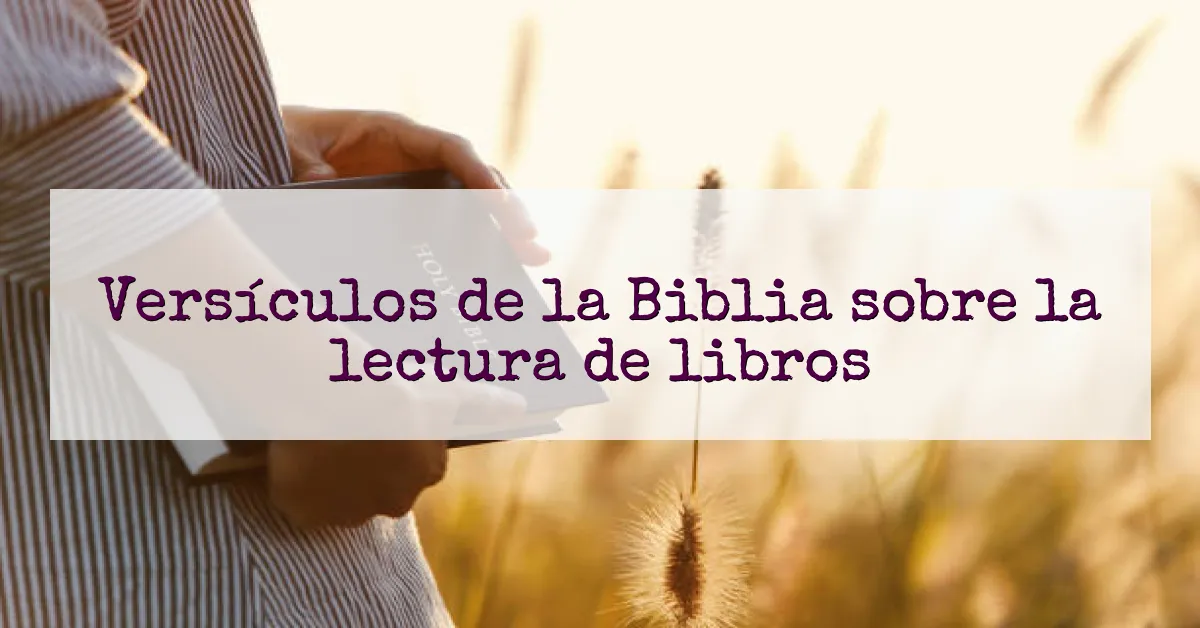 Versículos de la Biblia sobre la lectura de libros