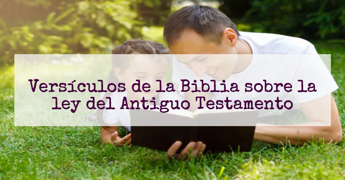 Versículos de la Biblia sobre la ley del Antiguo Testamento