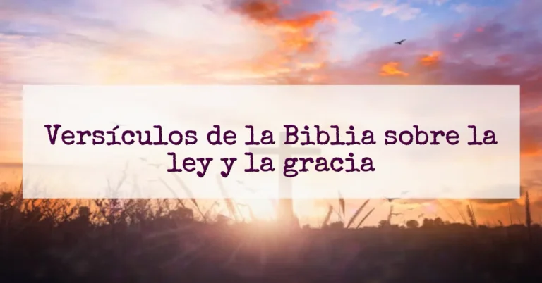 Versículos de la Biblia sobre la ley y la gracia