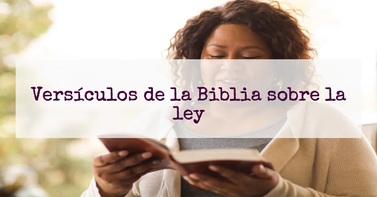 Versículos de la Biblia sobre la ley