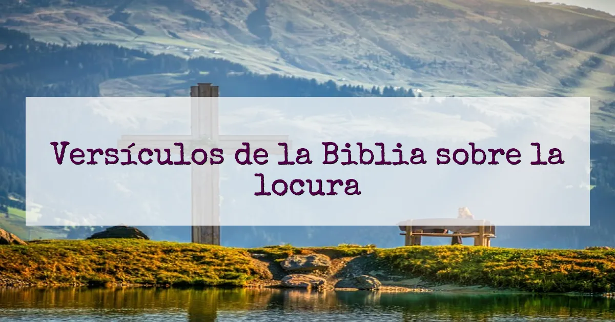 Versículos de la Biblia sobre la locura