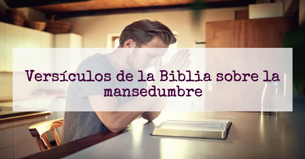 Versículos de la Biblia sobre la mansedumbre