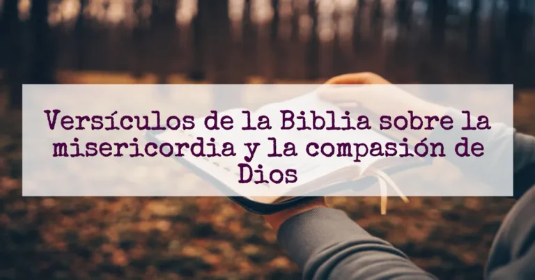 Versículos de la Biblia sobre la misericordia y la compasión de Dios