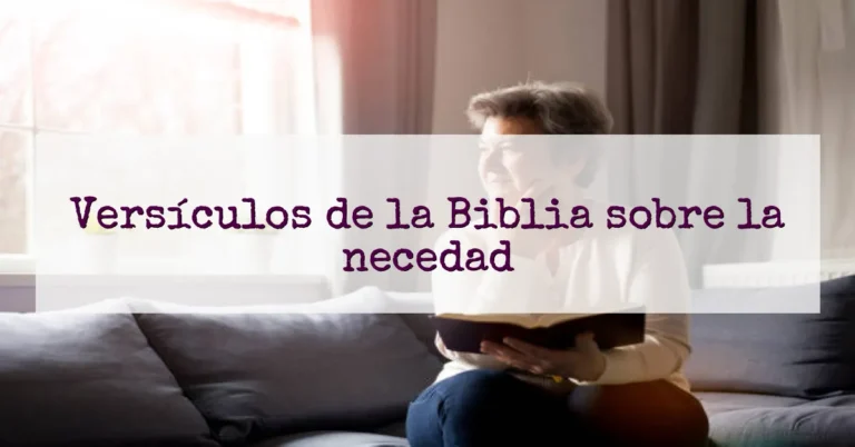 Versículos de la Biblia sobre la necedad