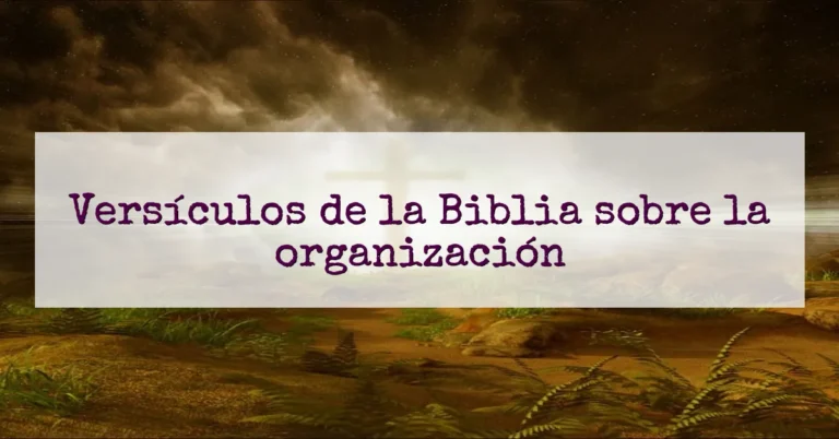 Versículos de la Biblia sobre la organización