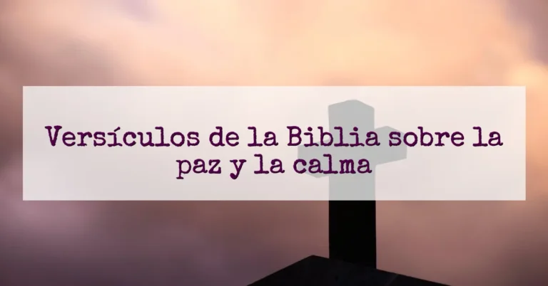 Versículos de la Biblia sobre la paz y la calma