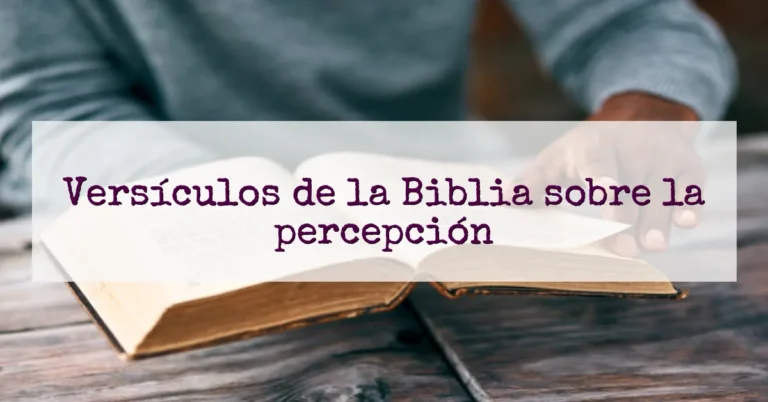 Versículos de la Biblia sobre la percepción