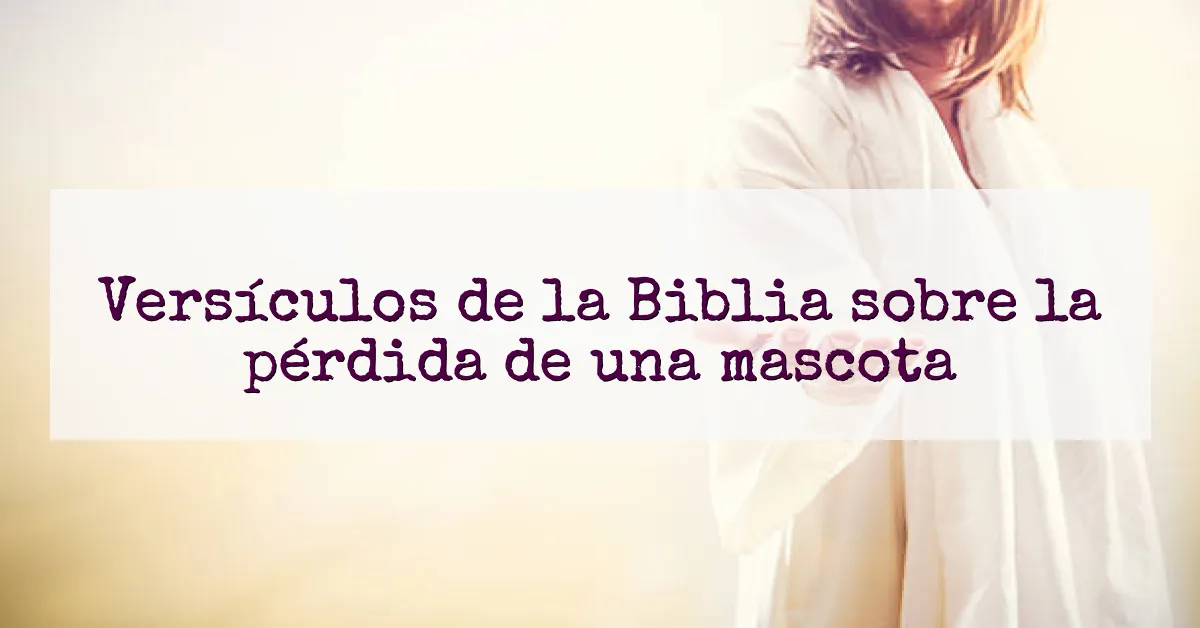 Versículos de la Biblia sobre la pérdida de una mascota