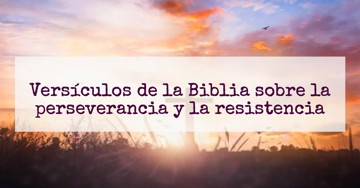 Versículos de la Biblia sobre la perseverancia y la resistencia