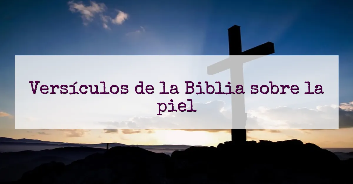 Versículos de la Biblia sobre la piel