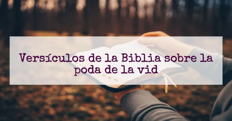 Versículos de la Biblia sobre la poda de la vid
