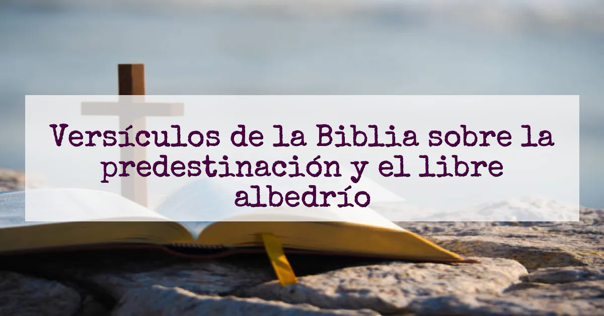 Versículos de la Biblia sobre la predestinación y el libre albedrío