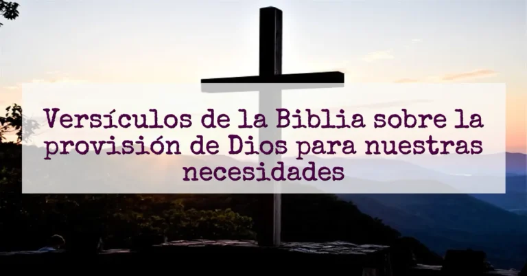 Versículos de la Biblia sobre la provisión de Dios para nuestras necesidades