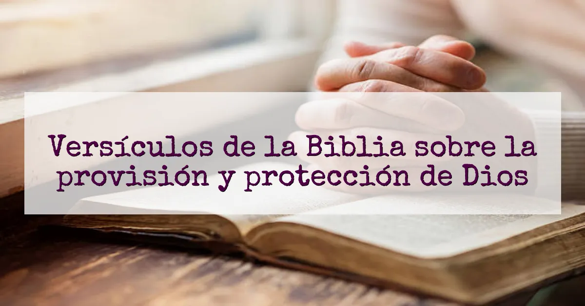 Versículos de la Biblia sobre la provisión y protección de Dios