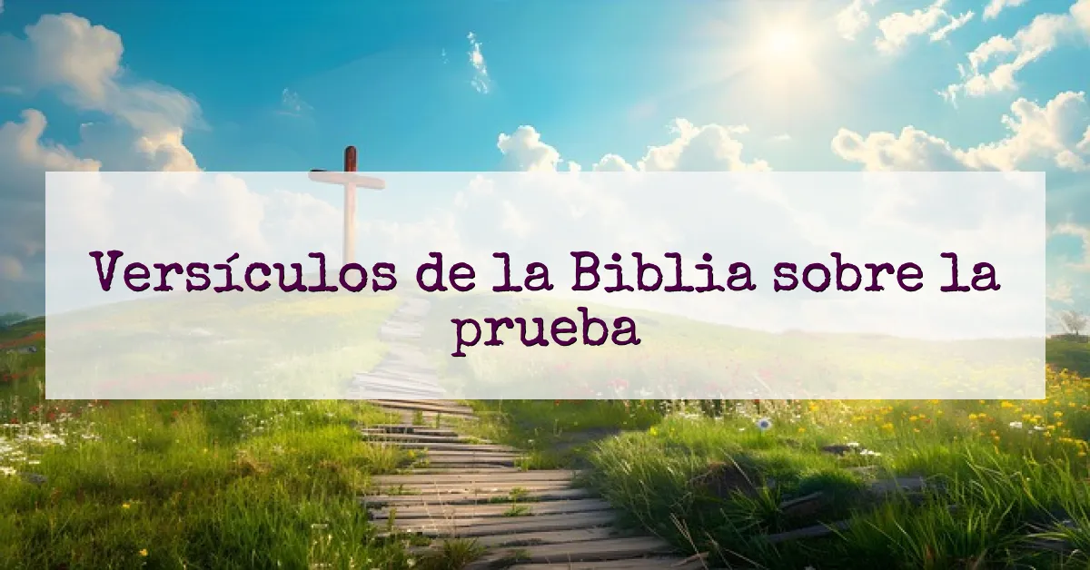 Versículos de la Biblia sobre la prueba