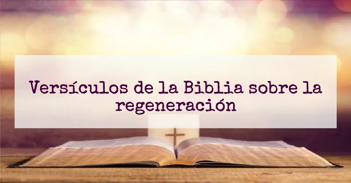 Versículos de la Biblia sobre la regeneración