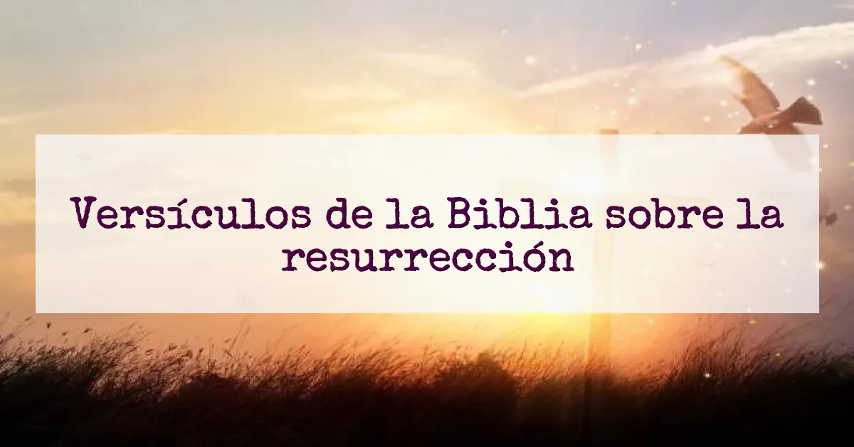 Versículos de la Biblia sobre la resurrección