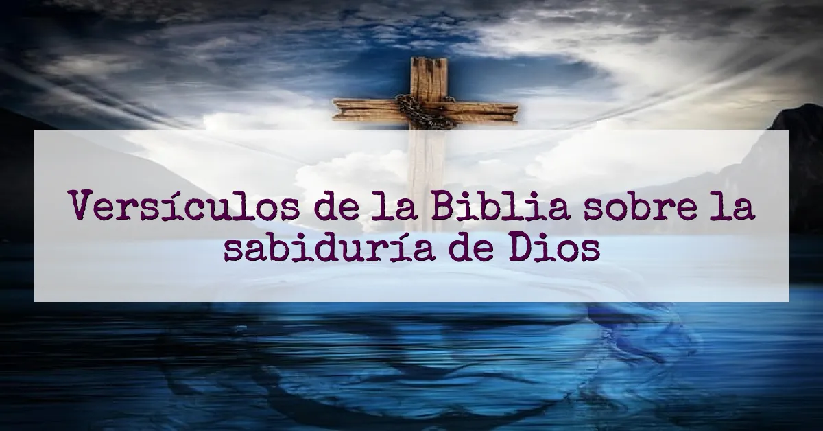 Versículos de la Biblia sobre la sabiduría de Dios