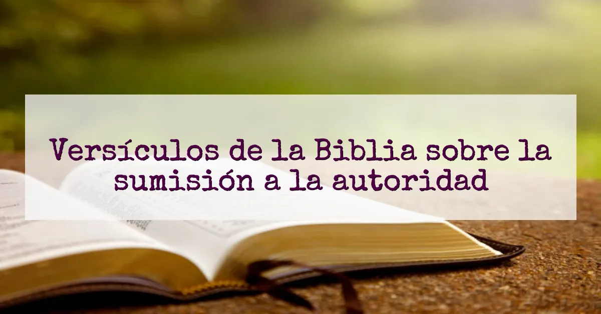 Versículos de la Biblia sobre la sumisión a la autoridad