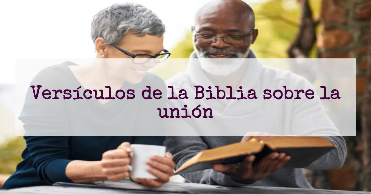 Versículos de la Biblia sobre la unión
