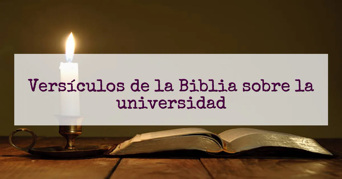 Versículos de la Biblia sobre la universidad