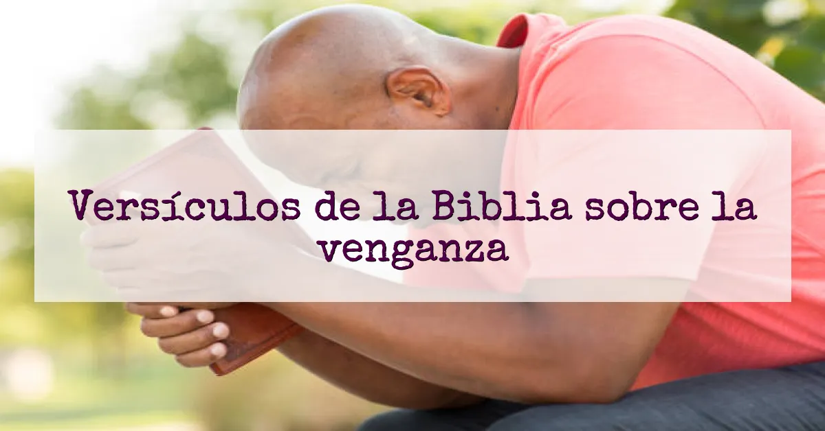 Versículos de la Biblia sobre la venganza