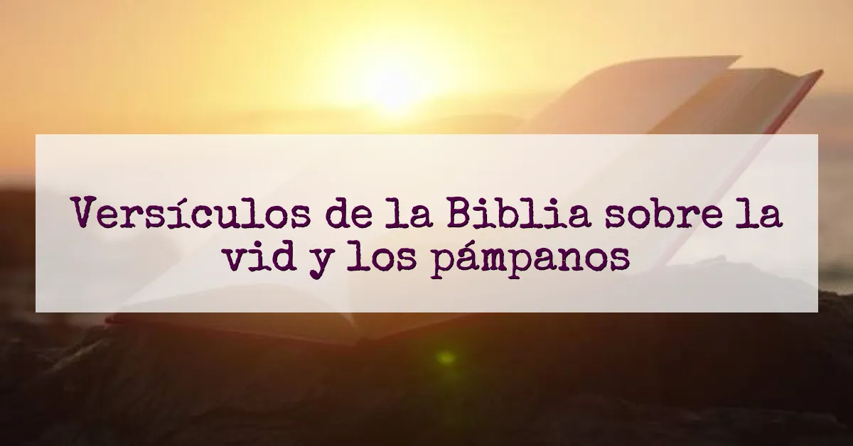 Versículos de la Biblia sobre la vid y los pámpanos