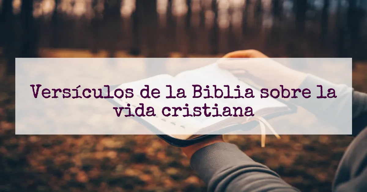 Versículos de la Biblia sobre la vida cristiana