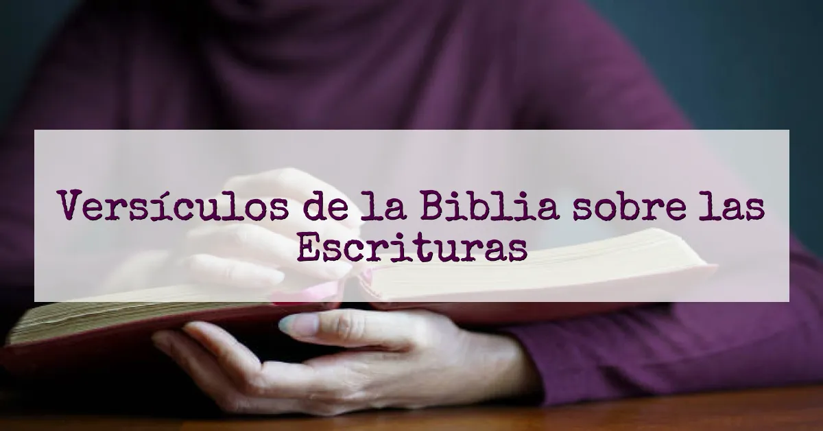 Versículos de la Biblia sobre las Escrituras