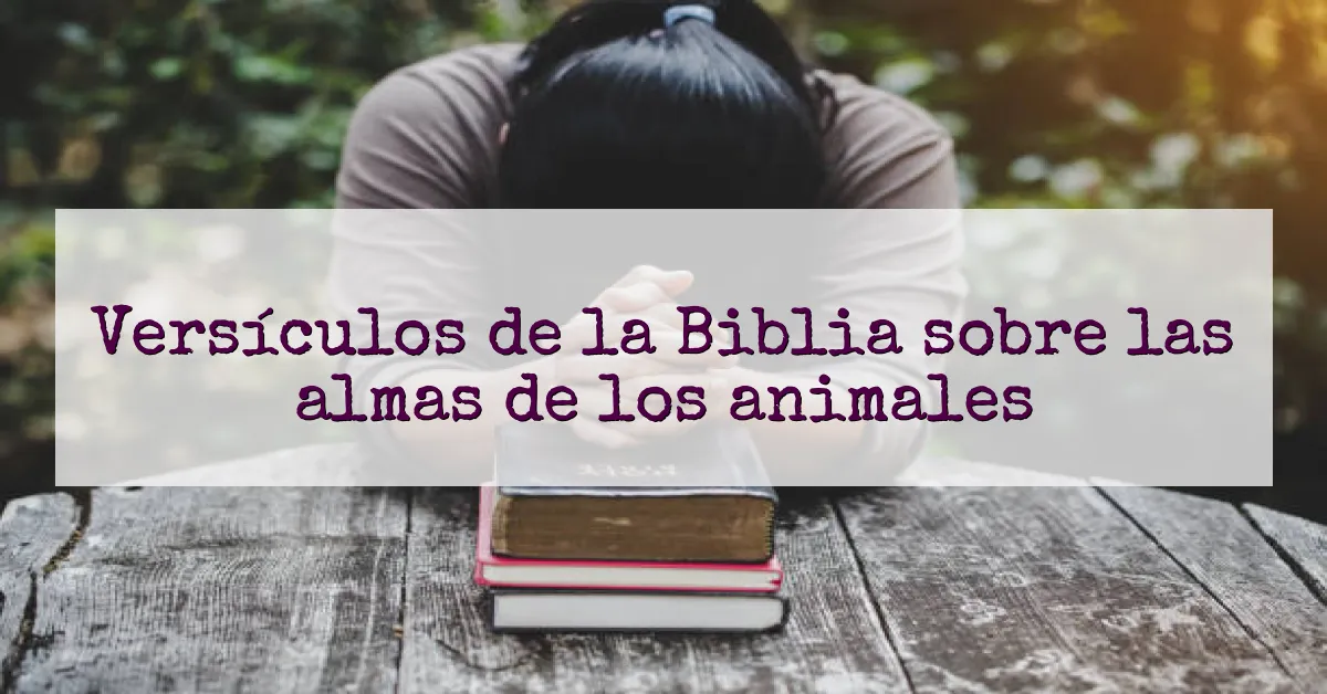 Versículos de la Biblia sobre las almas de los animales