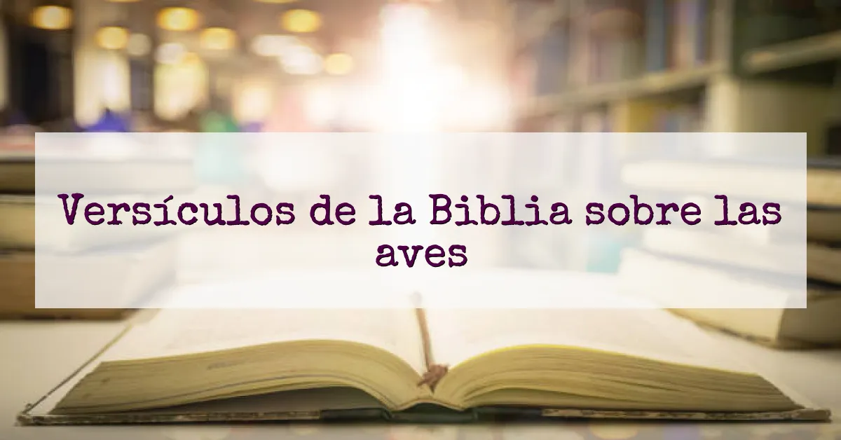 Versículos de la Biblia sobre las aves