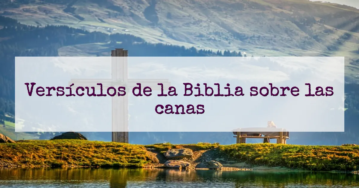 Versículos de la Biblia sobre las canas
