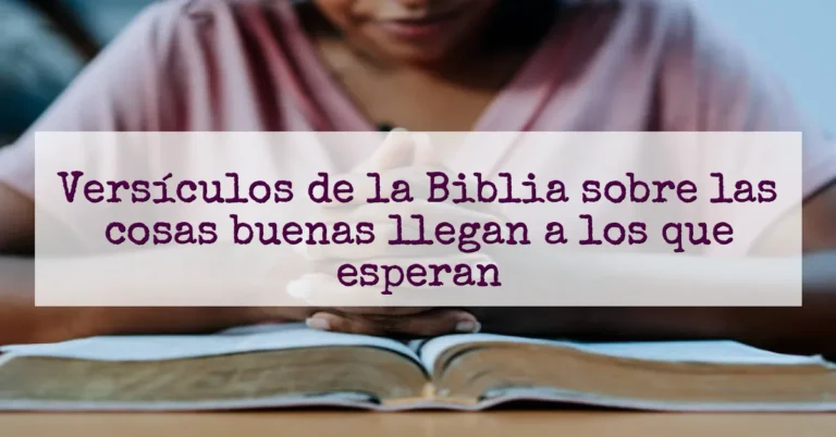 Versículos de la Biblia sobre las cosas buenas llegan a los que esperan