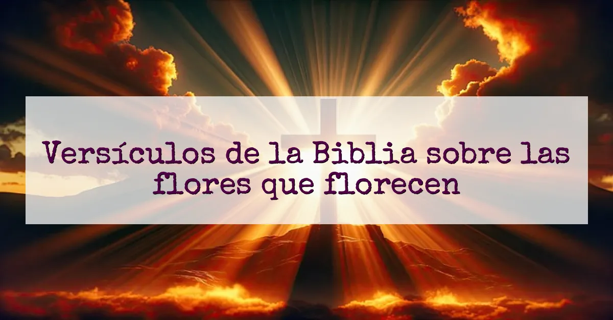 Versículos de la Biblia sobre las flores que florecen