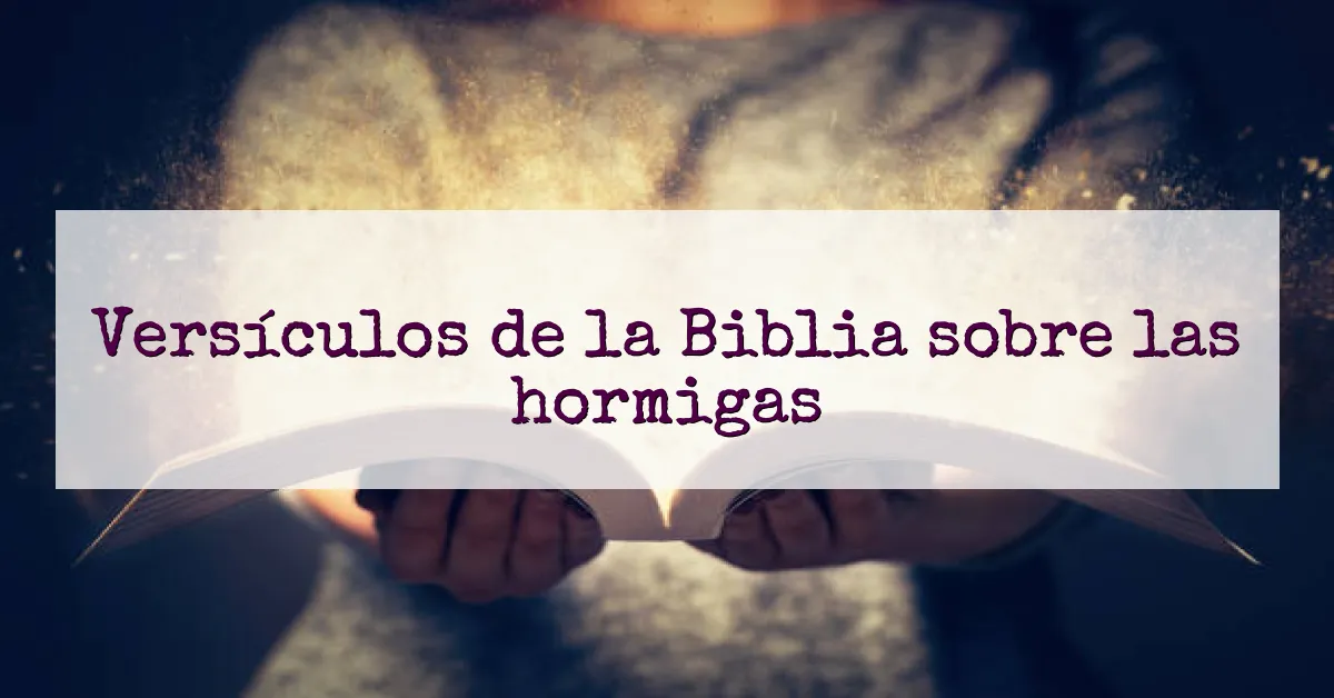 Versículos de la Biblia sobre las hormigas