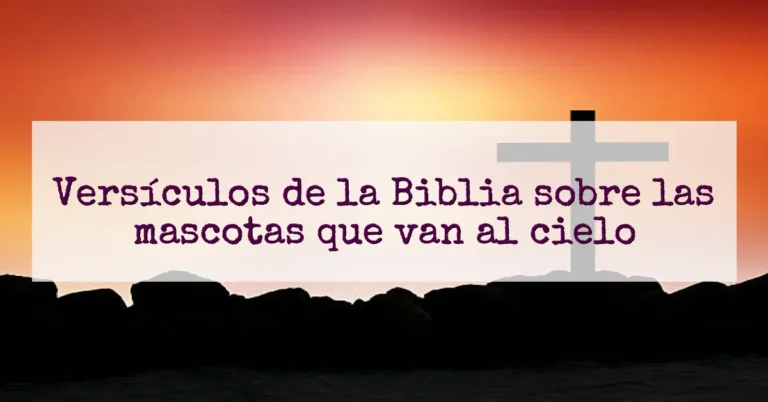 Versículos de la Biblia sobre las mascotas que van al cielo